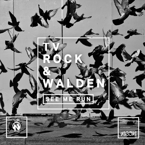 TV ROCK & WALDEN “See Me Run”