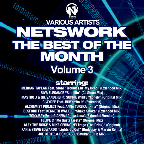 V/A – NETSWORK The Best Of The Month Vol.3