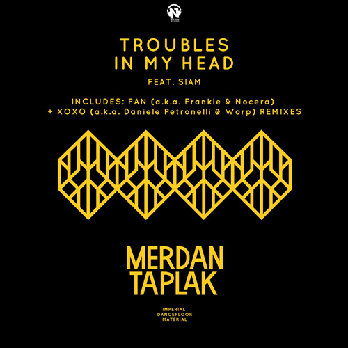 MERDAN TAPLAK Feat. SIAM  “Troubles In My Head” (The Remixes)