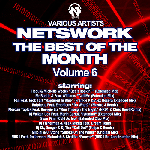 VARIOUS ARTISTS “NETSWORK THE BEST OF THE MONTH Vol. 6”